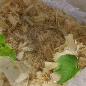 Лиственные опилки оптом в Серпухове от завода-производителя Лигнум Ресурс