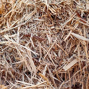 Щепа для арболита оптом в Серпухове и других различных марок заказать от 16 тонн